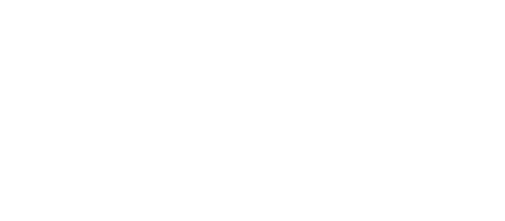 Pitch Perfect Program